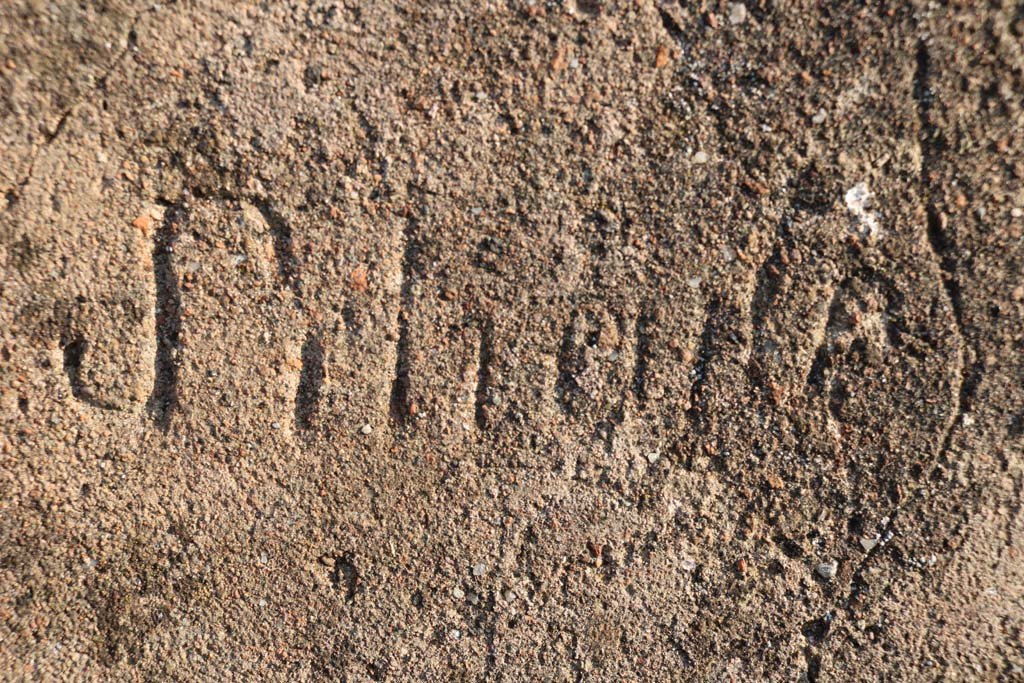 VI.2.29 Pompeii. December 2018. Detailed enlargement of inscription in plaster on south wall of room 4. Photo courtesy of Aude Durand.