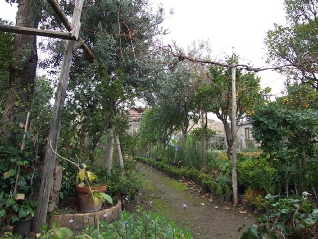 VI.6.1 Pompeii. December 2007. Looking north across kitchen garden from room 19, exedra. According to Jashemski, when excavated in 1827, the garden had a portico across its southern end. At the rear of the garden, on the right, there was a water reservoir and remains of lead fittings and pipes, probably used for watering the garden. See Jashemski, W. F., 1993. The Gardens of Pompeii, Volume II:  Appendices. New York: Caratzas. (p.128).
According to Garcia y Garcia, in the night of 14th-15th September 1943 at least three bombs fell on the area of this large garden. They destroyed two pilasters and four columns. In the north-east corner of the garden, there was also the partial destruction of a room with a large cistern, together with a corner of a room near the separate entrance at VI.6.12. Also damaged was the area to the south-east of the atrium and the annexed workshop. This damage was restored.
See Garcia y Garcia, L., 2006. Danni di guerra a Pompei. Rome: LErma di Bretschneider. (p.75)
