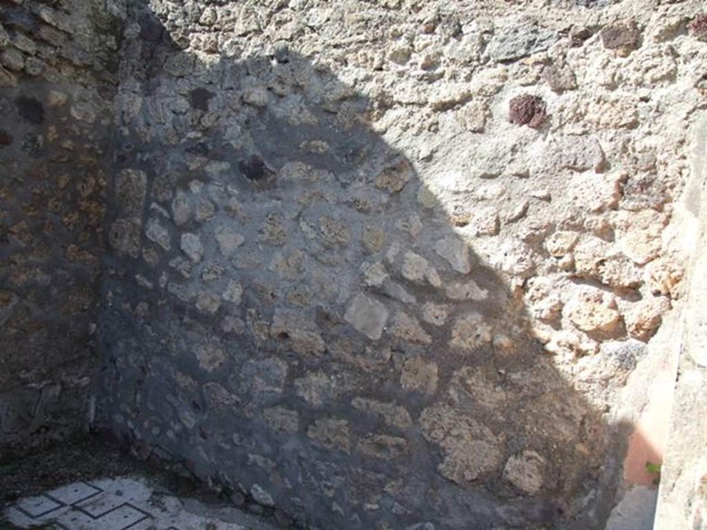 VI.8.21. Pompeii.  March 2009.  North wall of tablinum.