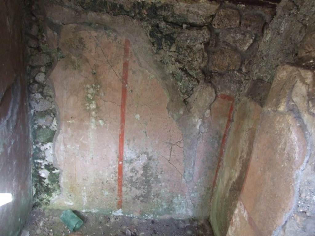 VI.8.22 Pompeii.  March 2009.  Room 6. Painted plaster in area under stairs.  East wall.