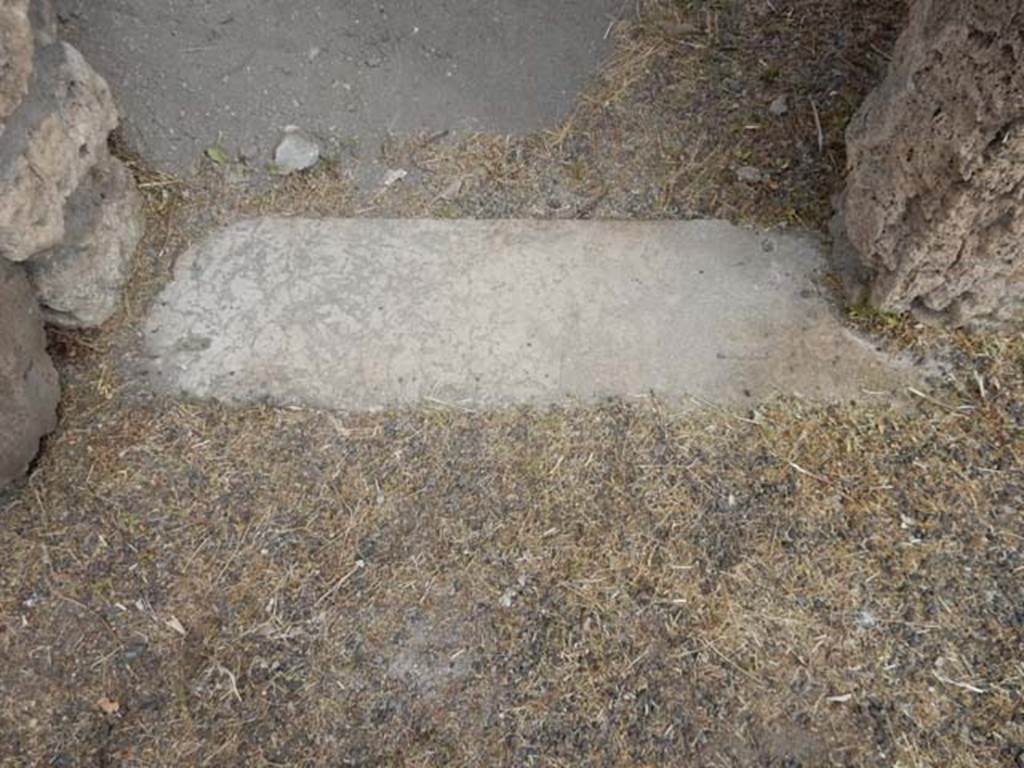 VI.8.22 Pompeii. May 2017. Room 16, threshold of doorway. Photo courtesy of Buzz Ferebee.

