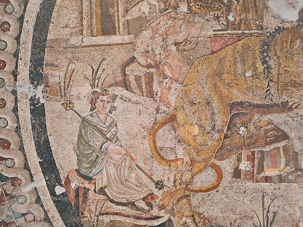 VI.9.5 Pompeii. September 2024. 
Triclinium 27, detail from mosaic of maenad and lion. Found in April 1829. Photo courtesy of Giuseppe Ciaramella.
Now in Naples Archaeological Museum. Inventory number 10019. 
