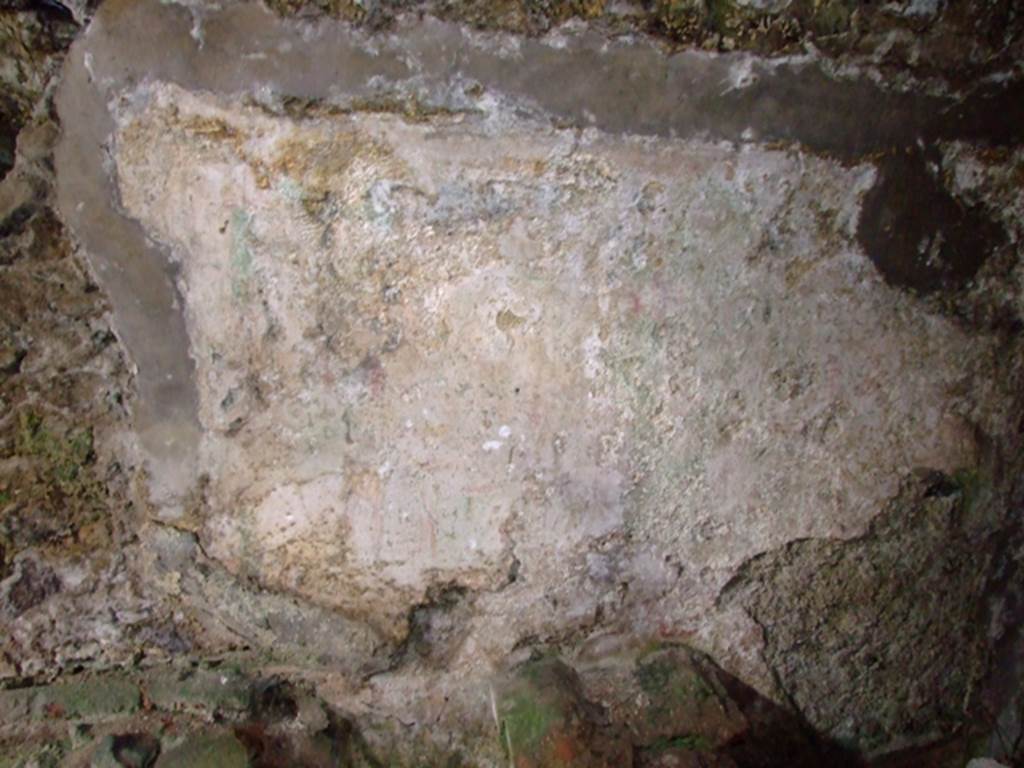 VI.9.10 Pompeii. March 2009. Detail of Lararium painting from north wall above altar in underground kitchen.