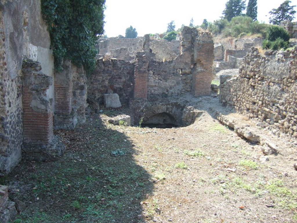 VI.9.13 Pompeii. September 2005. Room 44. West wall.