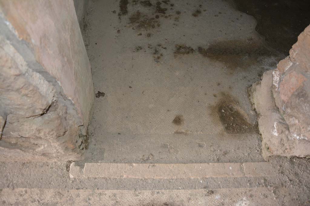 VI.11.10 Pompeii. October 2017. Room 44, doorway threshold from room 43. 
Foto Annette Haug, ERC Grant 681269 DÉCOR
