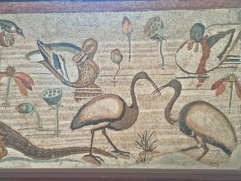 VI.12.2 Pompeii. September 2024. Detail from mosaic of Nilotic scene, including ducks and Ibis. Photo courtesy of Giuseppe Ciaramella.