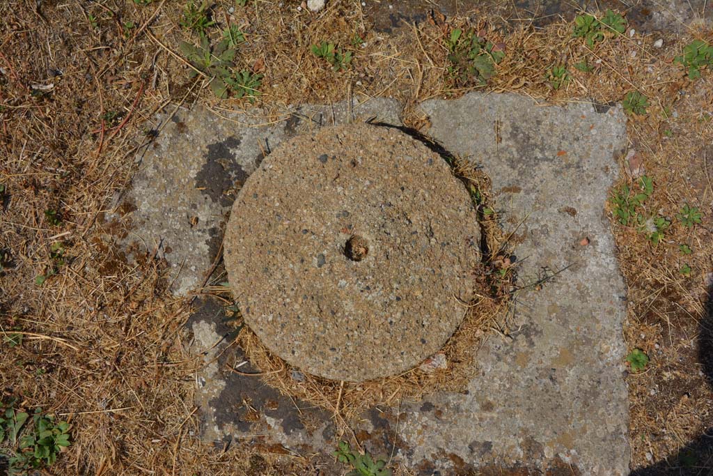 VI.12.5 Pompeii. 14th July 2017. Secondary Atrium 7, cistern-mouth on east side of impluvium.   
Foto Annette Haug, ERC Grant 681269 DÉCOR.
