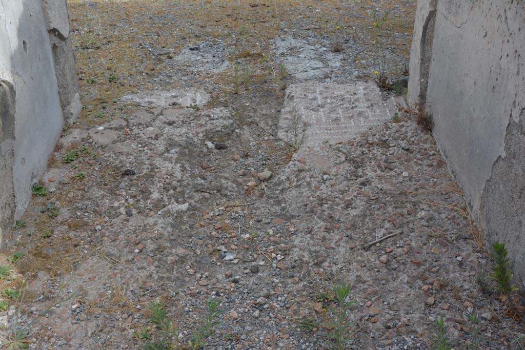 VI.14.12 Pompeii. July 2017. Detail of flooring in entrance corridor.
Foto Annette Haug, ERC Grant 681269 DÉCOR.
