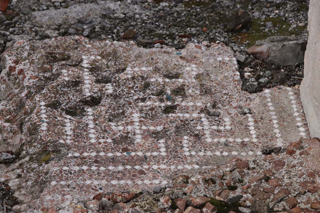 VI.14.12 Pompeii. October 2020. Floor threshold in cocciopesto decorated with meanders in white tesserae, between entrance corridor and atrium.
Photo courtesy of Klaus Heese.
