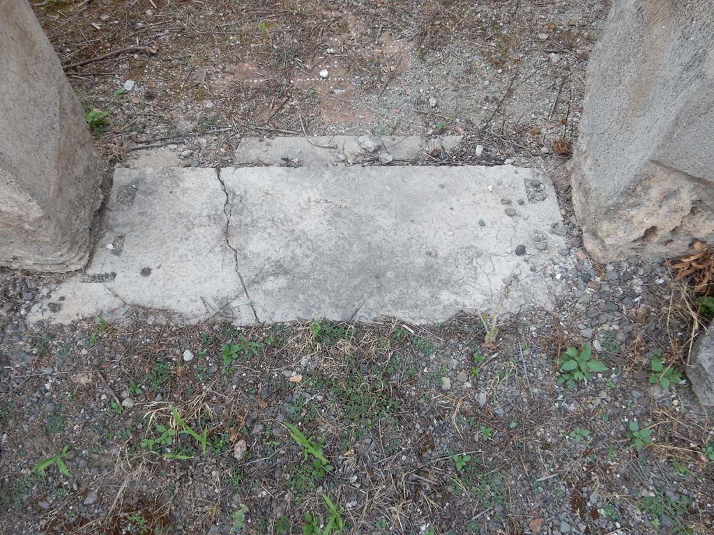 VI.14.43 Pompeii. June 2019. Room 15, doorway threshold. Photo courtesy of Buzz Ferebee.