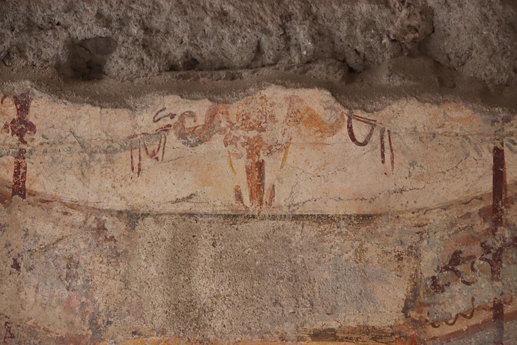 VI.15.1 Pompeii. October 2024. Cubiculum “u”, detail of painted decoration from above centre of north wall. Photo courtesy of Klaus Heese.