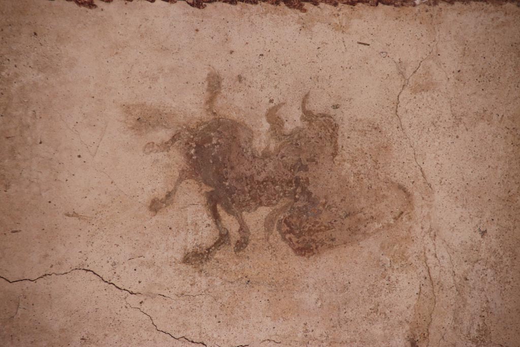 VI.15.1 Pompeii. October 2023. Small courtyard “s”, detail from upper east wall in north-east corner. Photo courtesy of Klaus Heese.