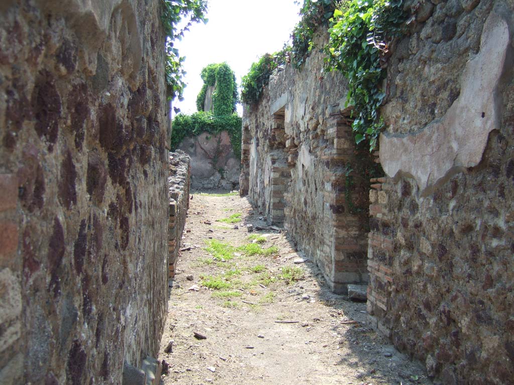 VI.15.14 Pompeii. May 2006. Looking west along long entrance corridor.
According to NdS, this long and narrow corridor had a beaten floor and plastered walls with a yellow background. 
See Notizie degli Scavi di Antichità, June 1897, (p.270)
