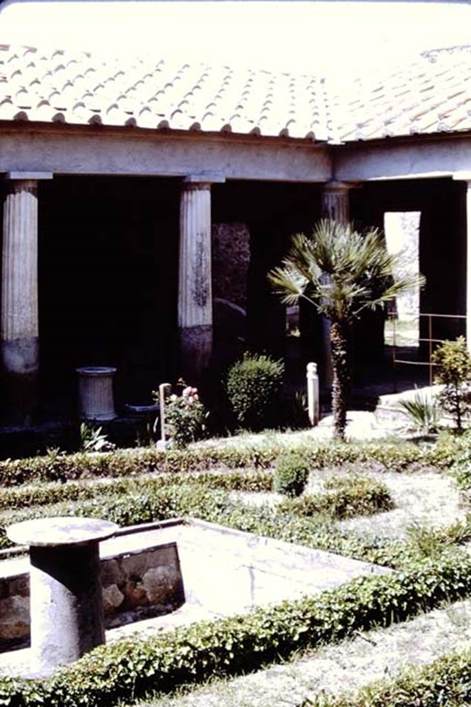 VI.16.7 Pompeii, 1968. Looking towards the north side of the north-east corner of the garden area. Photo by Stanley A. Jashemski.
Source: The Wilhelmina and Stanley A. Jashemski archive in the University of Maryland Library, Special Collections (See collection page) and made available under the Creative Commons Attribution-Non Commercial License v.4. See Licence and use details. J68f0088
