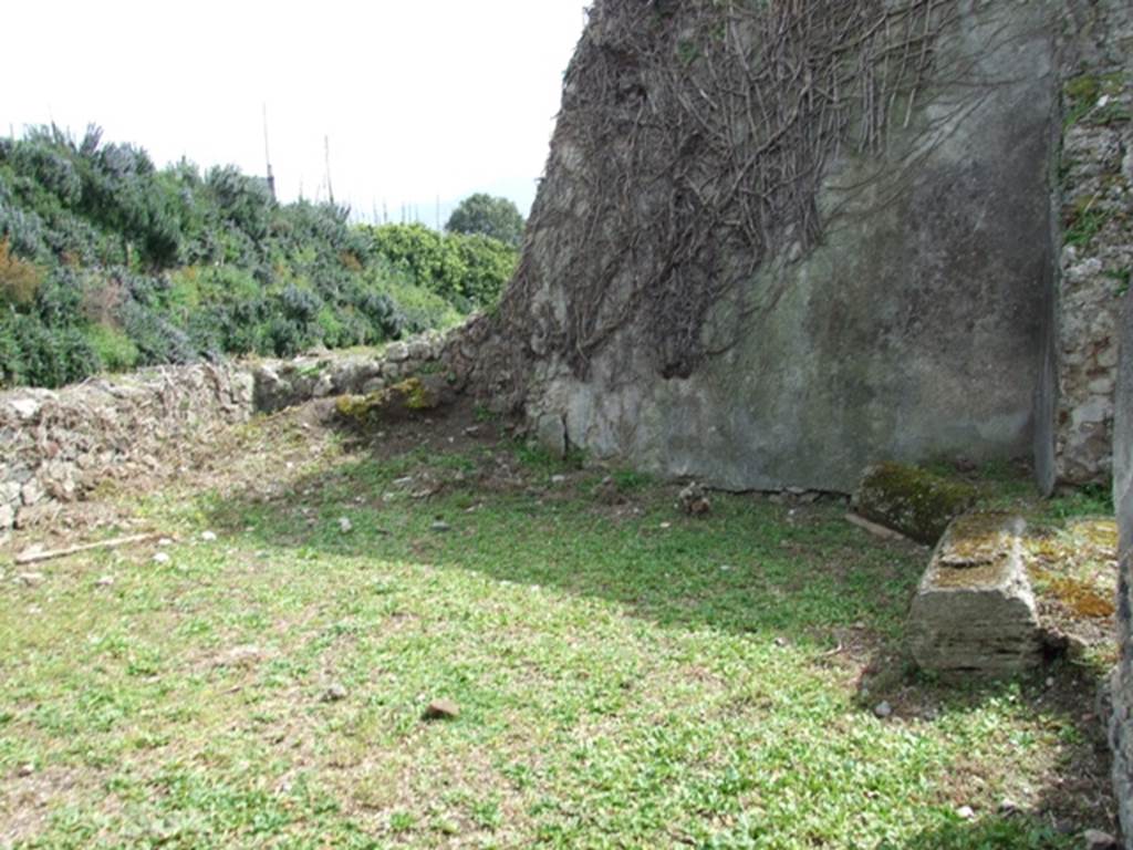 VI.16.27 Pompeii. March 2009. Room S, south wall of oecus.  