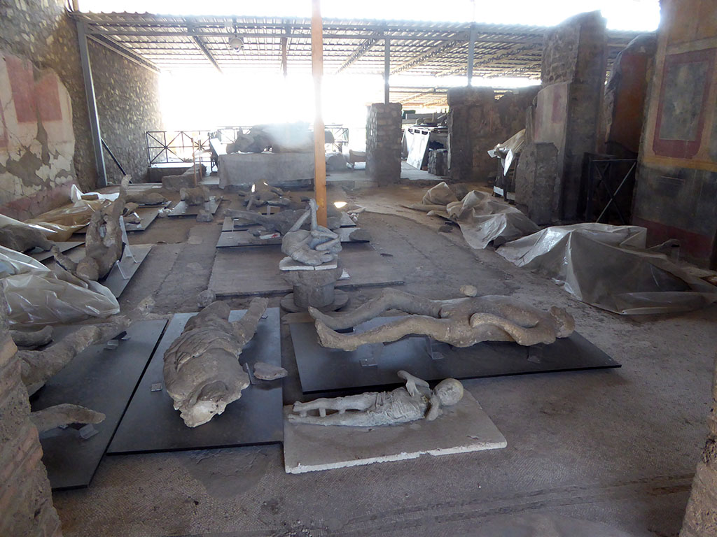 VI.17.42 Pompeii. May 2017. Looking west from entrance doorway across atrium.
Photo courtesy of Michael Binns.

