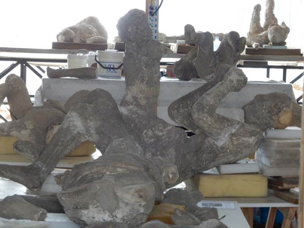 VI.17.42 Pompeii. May 2015. Assortment of body-casts. Photo courtesy of Buzz Ferebee. 