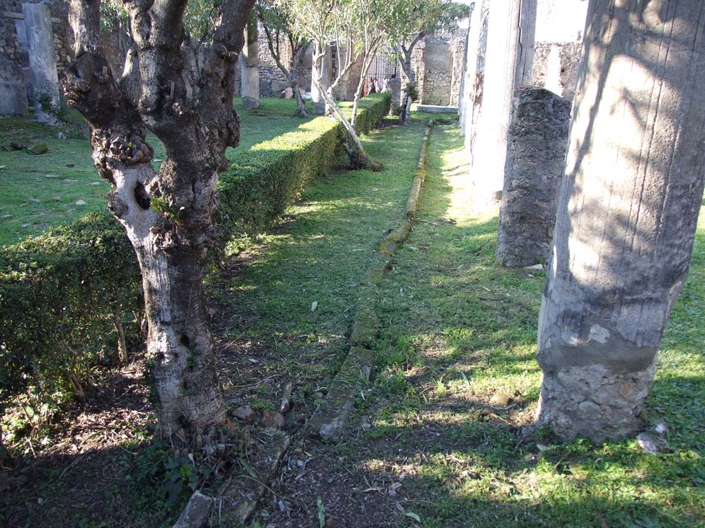 VII.4.31/51 Pompeii. March 2009. Looking north along gutter of north peristyle garden.