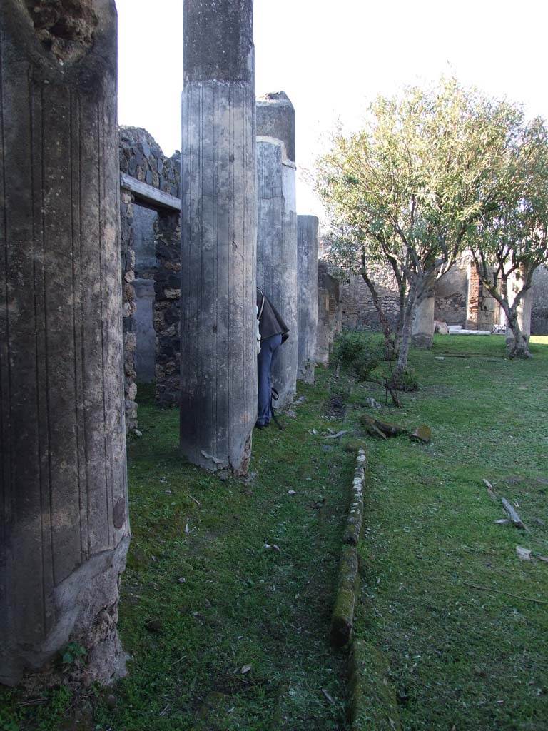 VII.4.31/51 Pompeii. March 2009. West side of north peristyle garden.