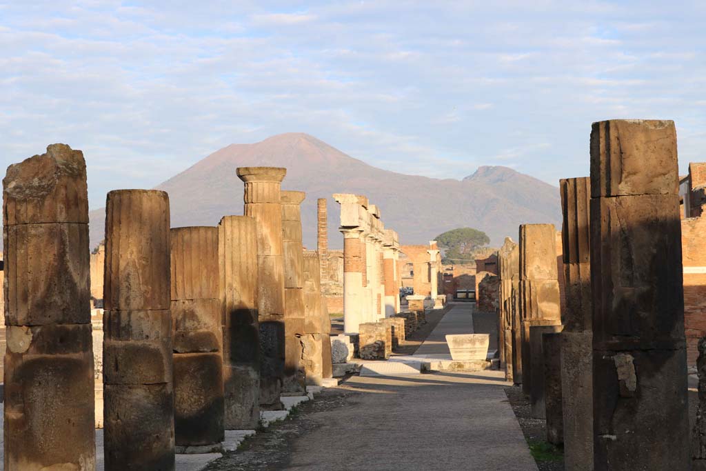 VII.8 Pompeii Forum. December 2018. Looking north from south-east corner, along portico on east side. Photo courtesy of Aude Durand.