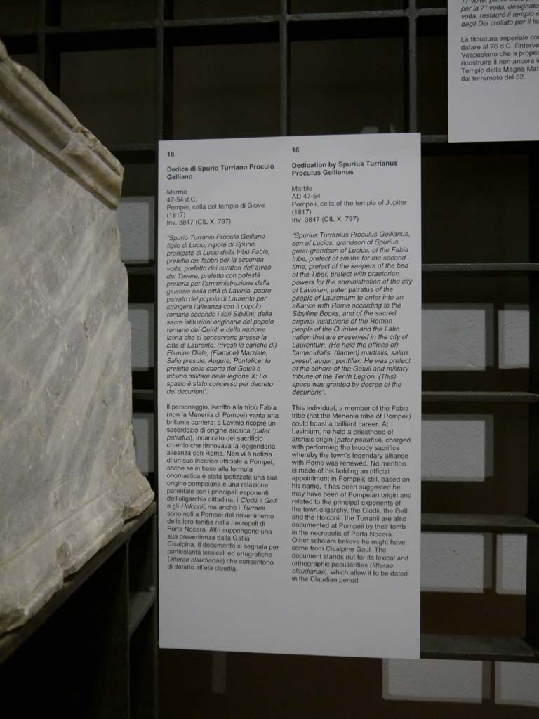 VII.8.1 Pompeii. March 2019. Information card.
Foto Anne Kleineberg, ERC Grant 681269 DÉCOR.

Dedication by Spurius Turrianus Proculus Gellianus
Marble
AD 47-54
Pompeii, cella of the temple of Jupiter
(1817)
Inv. 3847 (CIL X, 797)
"Spurius Turranius Proculus Gellianus, son of Lucius, grandson of Spurius, great-grandson of Lucius, of the Fabia tribe, prefect of smiths for the second time, prefect of the keepers of the bed of the Tiber, prefect with praetorian powers for the administration of the city of Lavinium, pater patratus of the people of Laurentum to enter into an alliance with Rome according to the Sibylline Books, and of the sacred original institutions of the Roman people of the Quirites and the Latin nation that are preserved in the city of Laurentum. (He held the offices of) flamen dialis, (flamen) martialis, salius presul, augur, pontifex. He was prefect of the cohors of the Getuli and military tribune of the Tenth Legion. (This) space was granted by decree of the decurions".

This individual, a member of the Fabia tribe (not the Menenia tribe of Pompeii) could boast a brilliant career. 
At Lavinium, he held a priesthood of archaic origin (pater patratus), charged with performing the bloody sacrifice whereby the town's legendary alliance with Rome was renewed. 
No mention is made of his holding an official appointment in Pompeii; still, based on his name, it has been suggested he may have been of Pompeian origin and related to the principal exponents of the town oligarchy, the Clodii, the Gelli and the Holconii; the Turranii are also documented at Pompeii by their tomb in the necropolis of Porta Nocera.
Other scholars believe he might have come from Cisalpine Gaul. 
The document stands out for its lexical and orthographic peculiarities (litterae claudianae), which allow it to be dated in the Claudian period.
