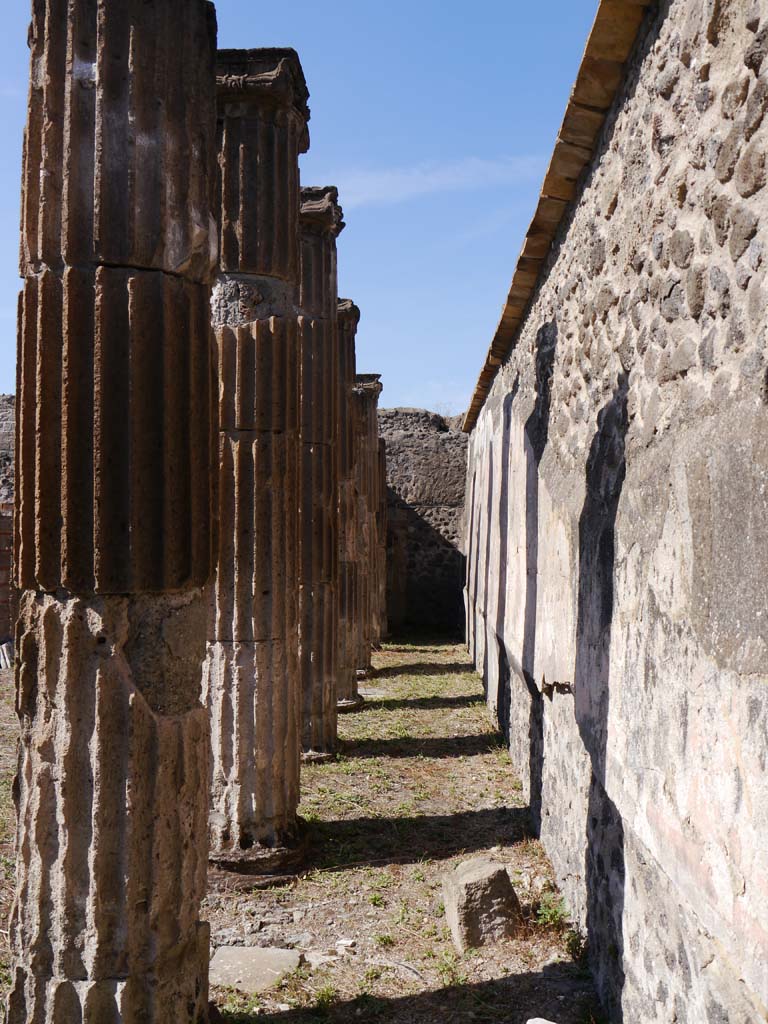 VII.8.01 Pompeii. September 2018. Looking north along east wall of cella.
Foto Anne Kleineberg, ERC Grant 681269 DÉCOR.
