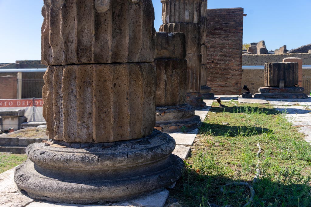 VII.8.1 Pompeii. October 2023. Looking west along line of column bases at top of steps. Photo courtesy of Johannes Eber.