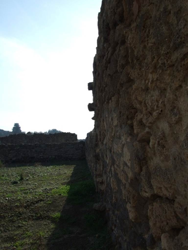 VII.11.1 Pompeii. December 2007. Looking south along west wall.