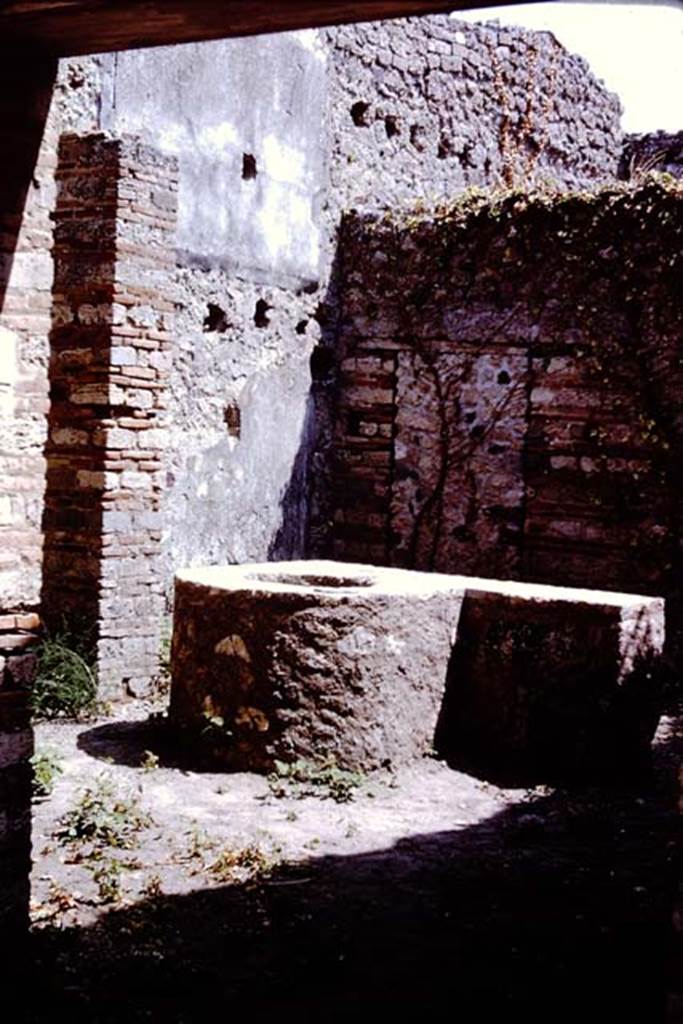 VII.11.7 Pompeii. 1966. Looking south-east across masonry trough to rear room.
Photo by Stanley A. Jashemski.
Source: The Wilhelmina and Stanley A. Jashemski archive in the University of Maryland Library, Special Collections (See collection page) and made available under the Creative Commons Attribution-Non Commercial License v.4. See Licence and use details.
J66f0730
