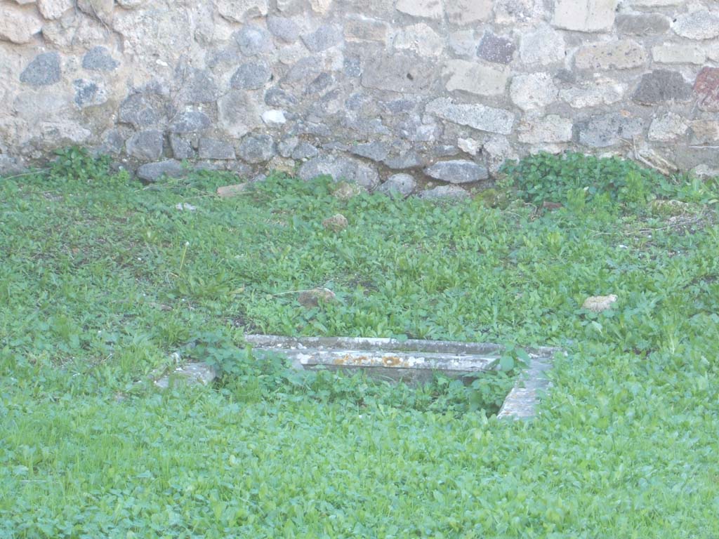 VII.12.3 Pompeii. December 2004. Shallow pool at west end of peristyle garden.