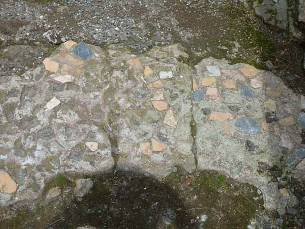 VII.13.4 Pompeii. May 2010. Flooring of entrance fauces.