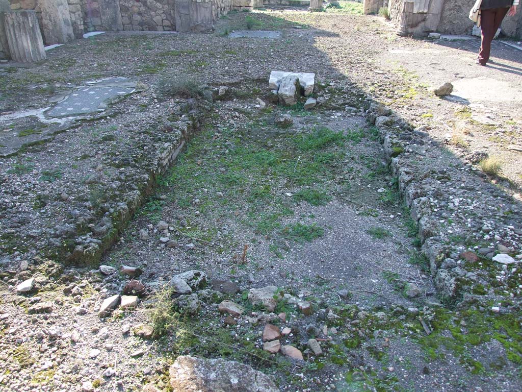 VII.16.13 Pompeii. December 2007. Room 2, impluvium.