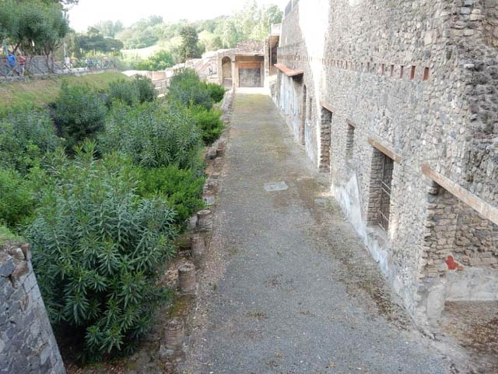 VIII.1.a Pompeii. May 2015. Looking north along garden and portico.
Photo courtesy of Buzz Ferebee.
