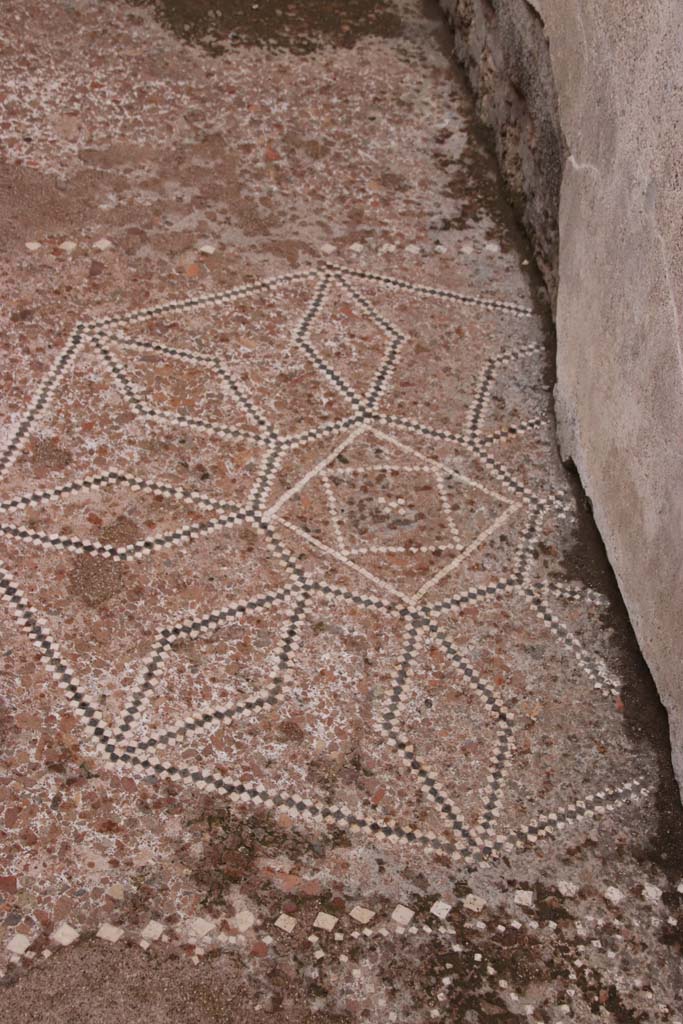 VIII.2.13 Pompeii. October 2020. Detail of flooring in room on north side of atrium. 
Photo courtesy of Klaus Heese.
