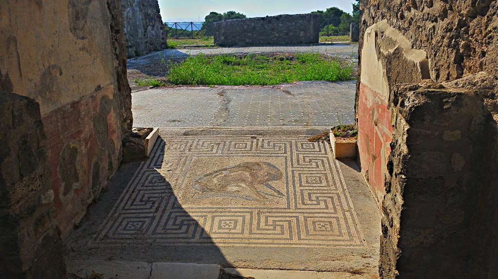 VIII.2.26 Pompeii. 2017/2018/2019. Looking south from vestibule across atrium. Photo courtesy of Giuseppe Ciaramella.