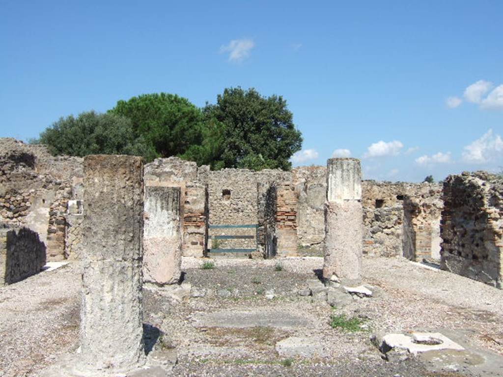 VIII.2.28 Pompeii.  September 2005.  Looking north across impluvium and columns.