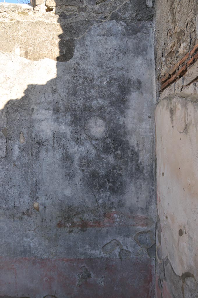 VIII.3.12 Pompeii. January 2024. 
Detail of medallion on east wall of triclinium in south-east corner. Photo courtesy of Domenico Esposito.
