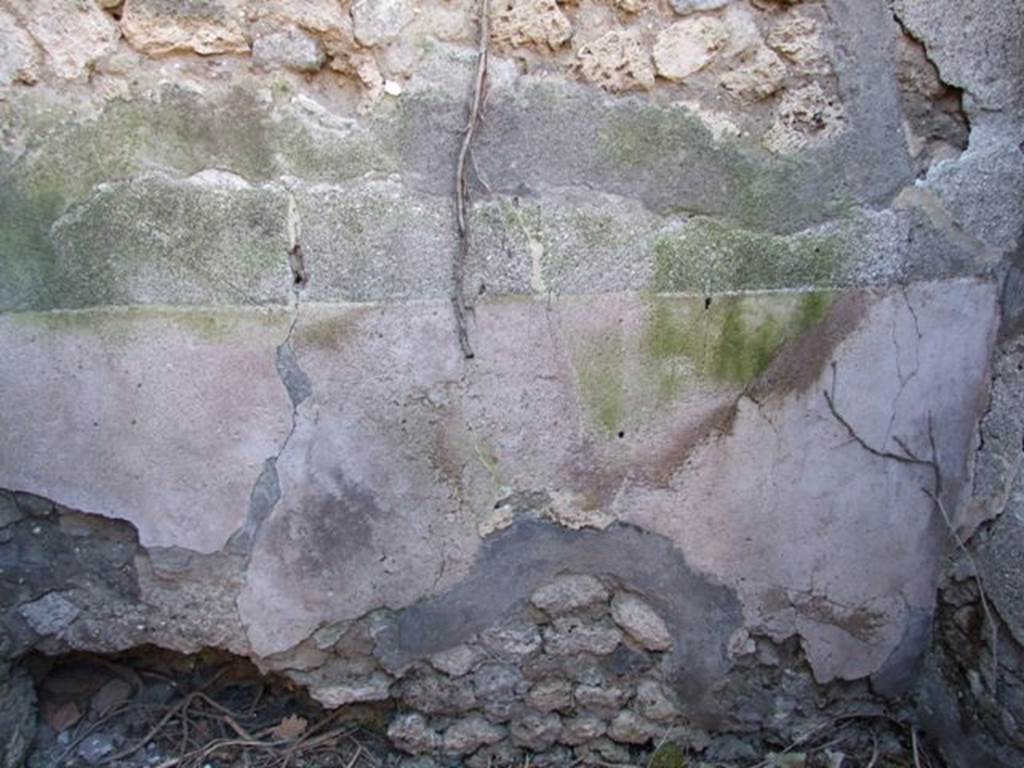 VIII.5.9 Pompeii.  March 2009.  Room 18.  South wall.