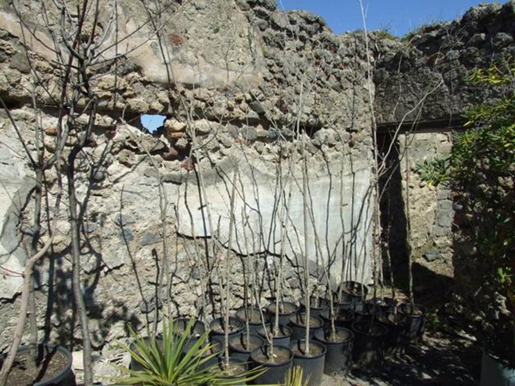 VIII.5.16 Pompeii.  March 2009.    Room 1, Large Triclinium.  North wall, east end, with doorway to small room.