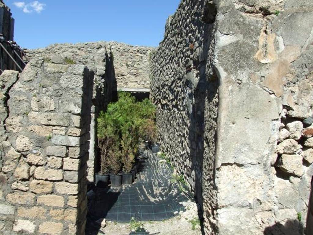 VIII.5.16 Pompeii.  March 2009.  Looking north along Room 4, Corridor, joining into Room 2, Corridor.