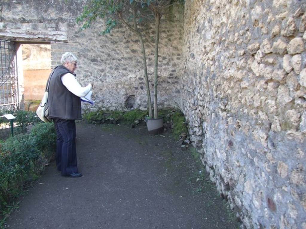 VIII.5.16 Pompeii.  March 2009.  Area on west side of entrance at VIII.5.38, in south side of garden area.