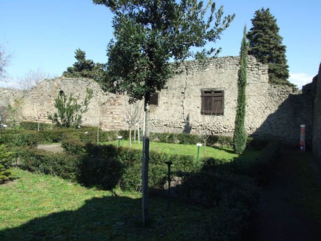 VIII.5.16 Pompeii.  March 2009.  Looking east across garden, from near VIII.5.38.