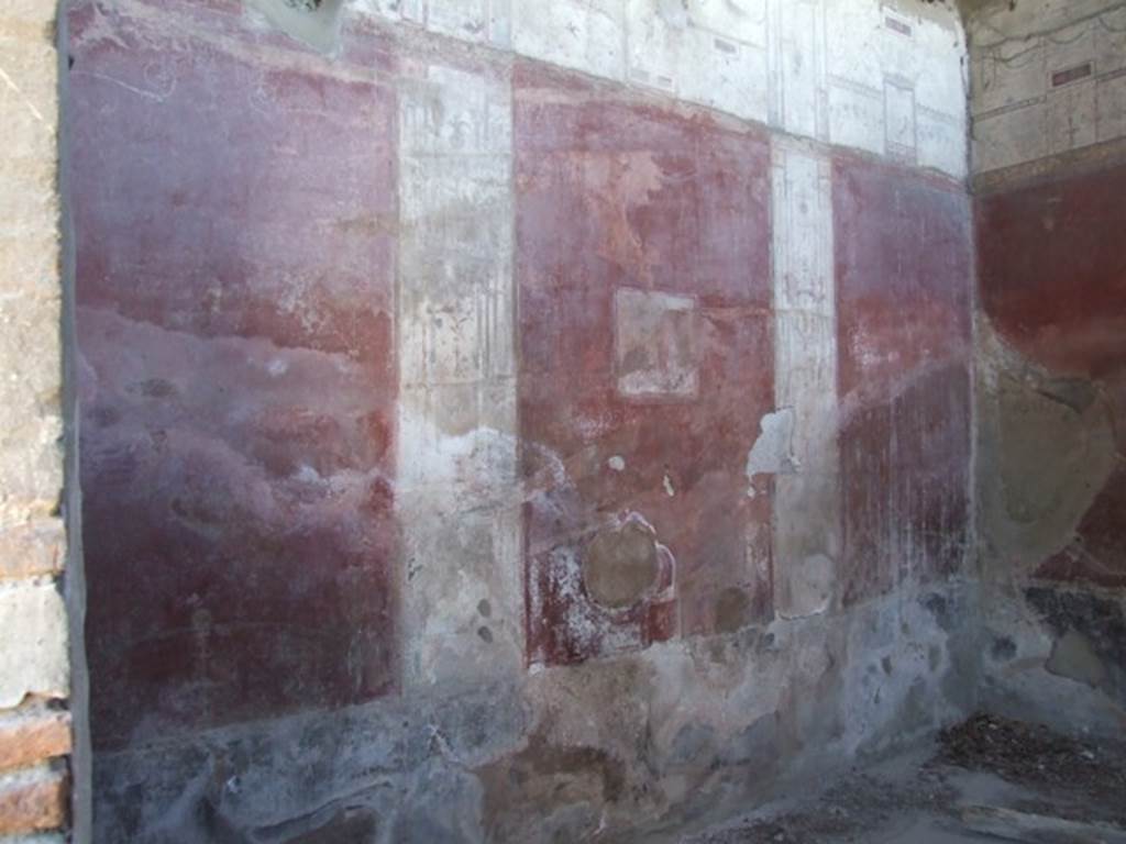 VIII.5.37 Pompeii.  March 2009. Room 13. Oecus. South wall.