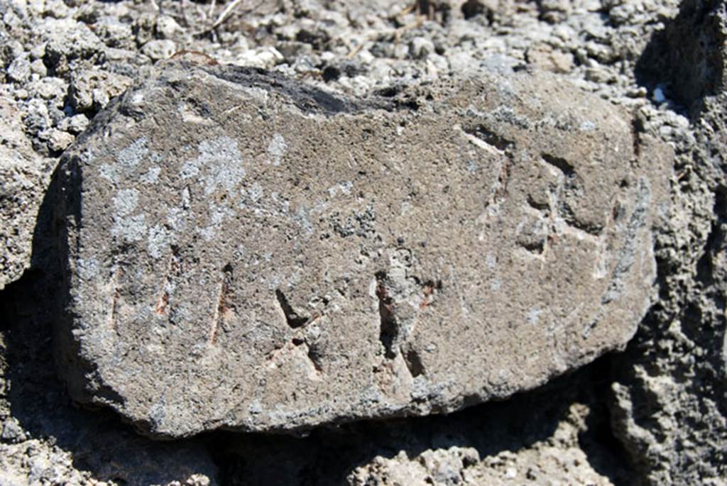 VIII.7.22 Pompeii. June 2009. Detail of stone embedded in north wall. Photo courtesy of Sera Baker.