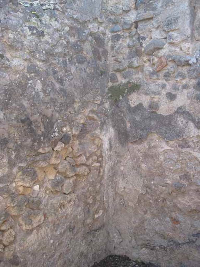 VIII.7.26 Pompeii. September 2010.  South wall and south-west corner of second room on west side of atrium. Photo courtesy of Drew Baker.
