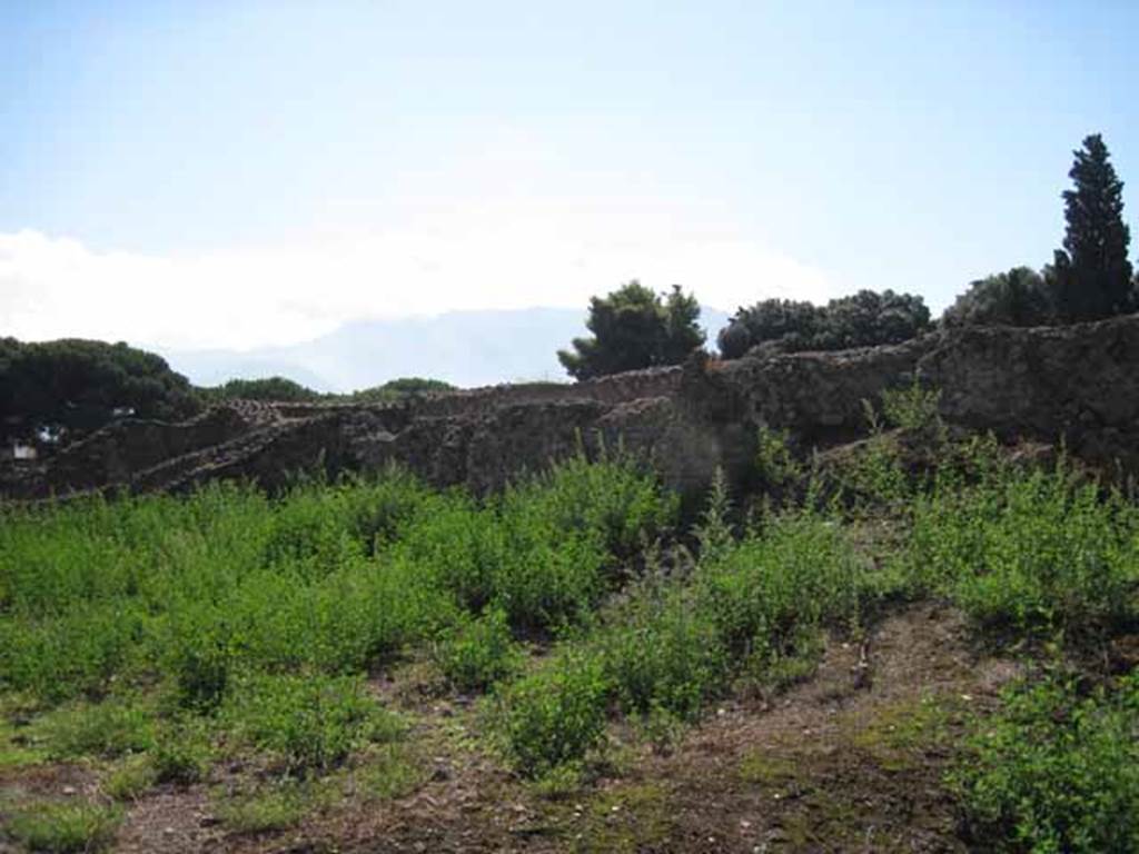 VIII.7.26 Pompeii. September 2010. West wall of garden. Photo courtesy of Drew Baker.