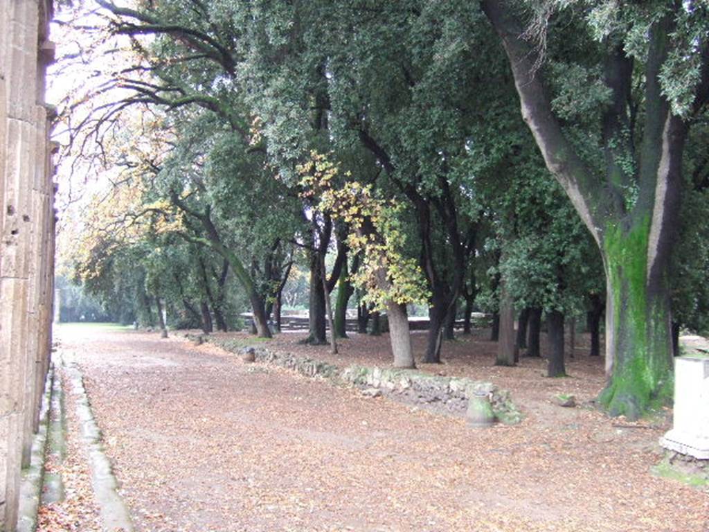 VIII.7.30 Pompeii. December 2005. Triangular Forum inner east side on west of columns.