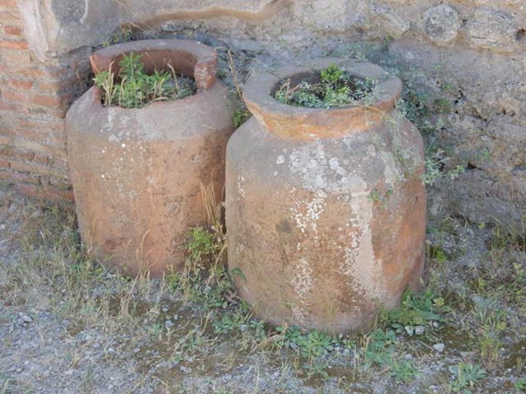 IX.1.3 Pompeii. May 2017. Looking south from rear of counter.  Photo courtesy of Buzz Ferebee. 