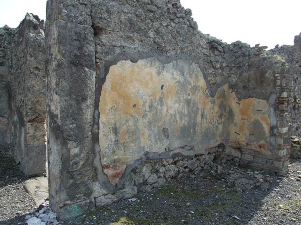 IX.2.18 Pompeii. March 2009.  Room 5. Tablinum.  South wall.