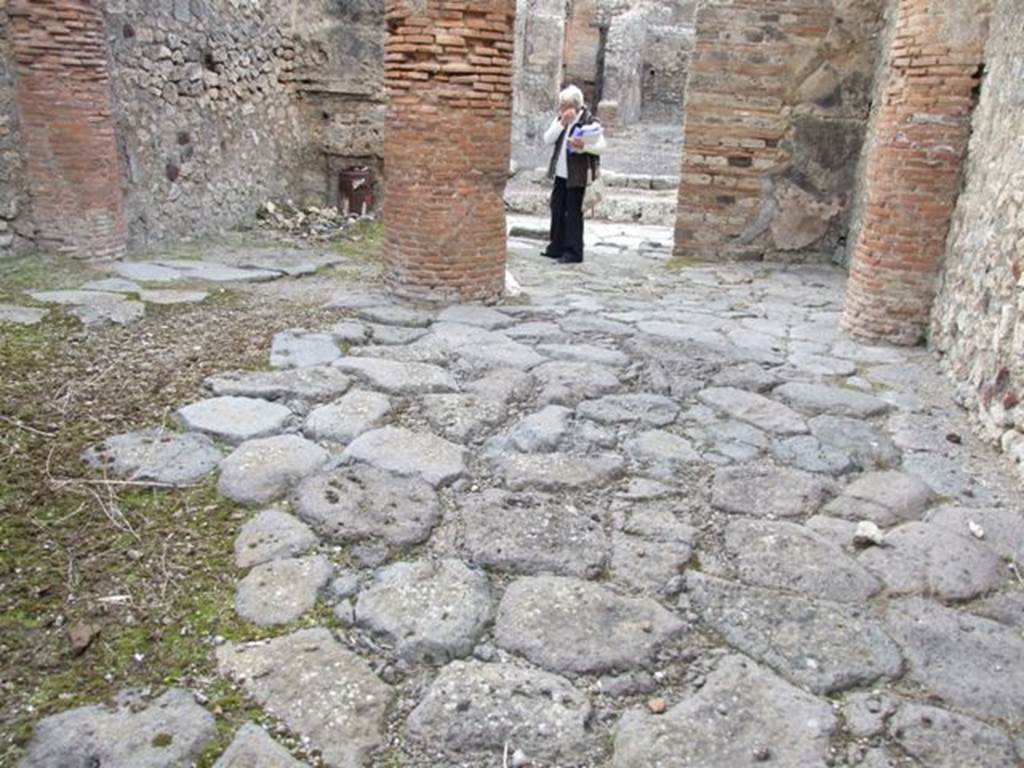 IX.2.24 Pompeii.  March 2009.  Looking north from rear to front entrance room.